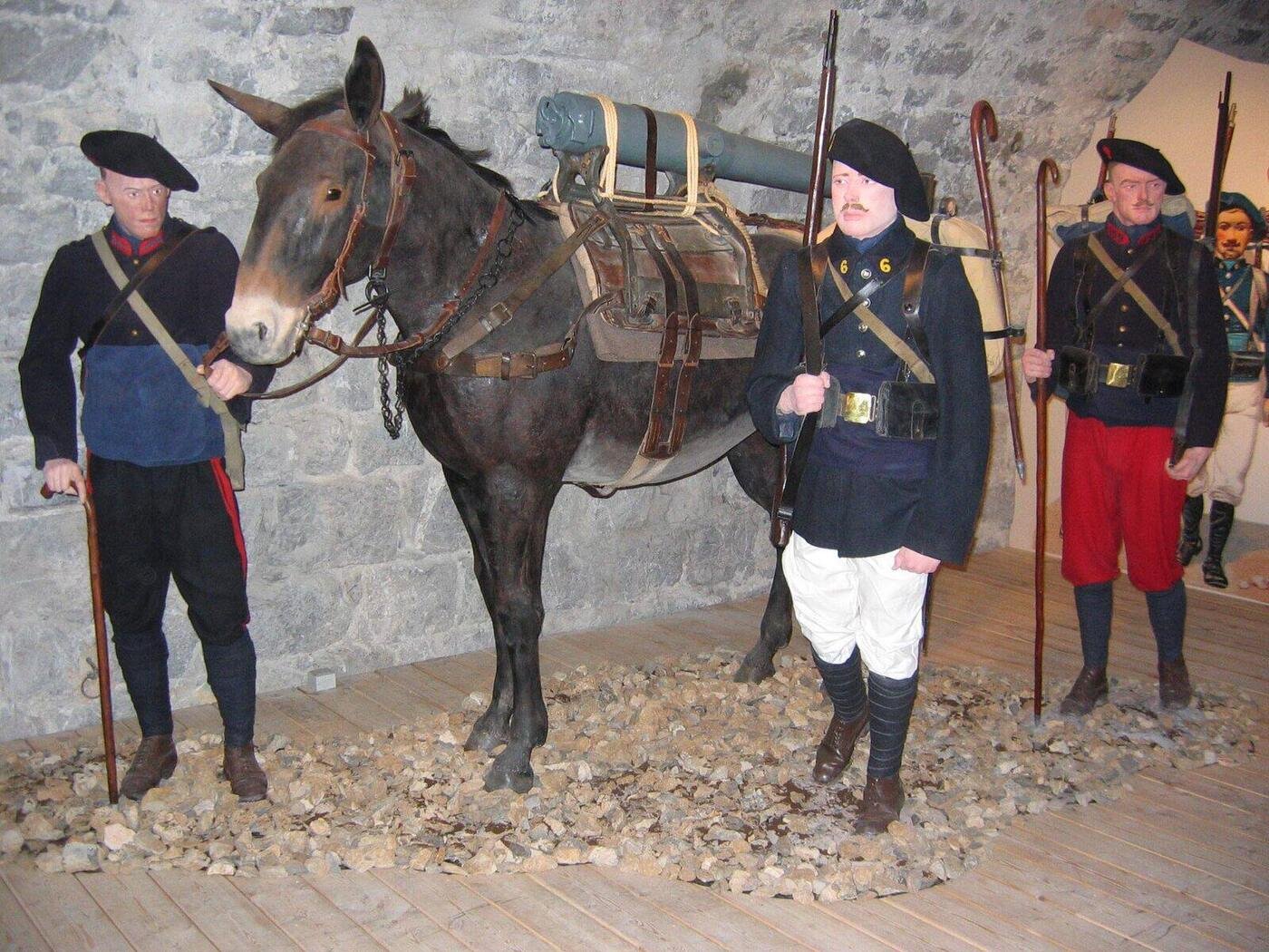 Mulet portant un canon de montagne, collections du musée des Troupes de Montagne