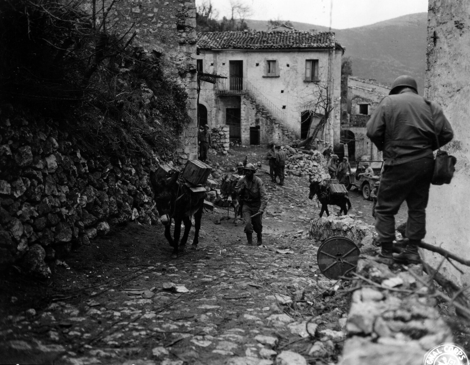 Mulets gravissant un sentier escarpé au Mont Pantano avec des vivres pour les troupes françaises, décembre 1943